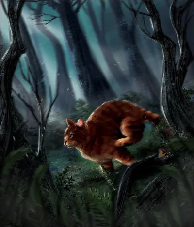 En suivant les chats, tu remarques qu'ils se dirigent droit vers le camp et tu vois que certains ont leurs griffes sorties. ''Une attaque !'' Tu hoquettes, mais pas le temps de réfléchir, que fais-tu ?