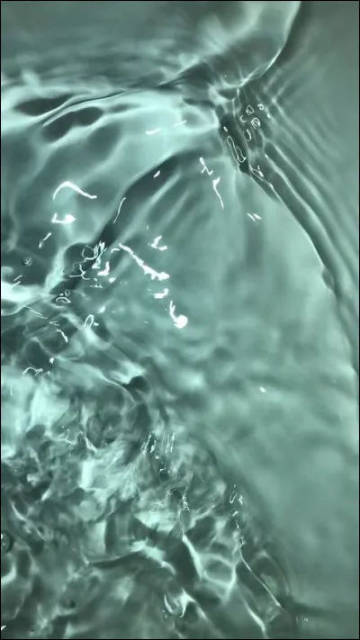 En quelle année Capet est-il nommé roi des Francs ?