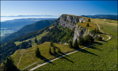 Quelle est la principale roche qui constitue le massif du Jura ?