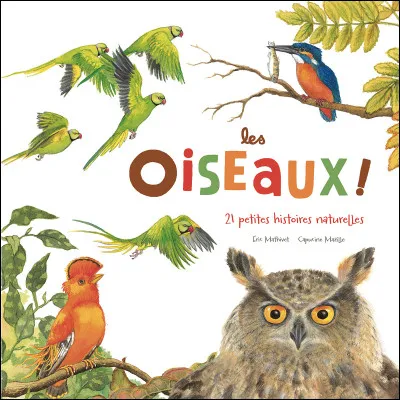 Ça casse ! Le cassenoix est un oiseau, auquel ressemble-t-il ?