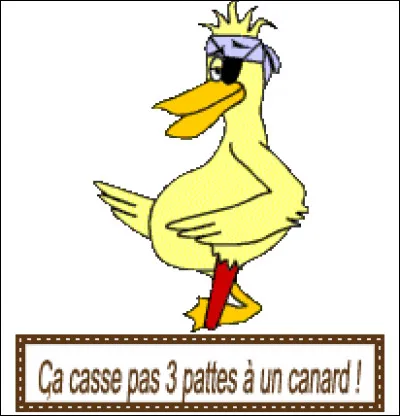 Ça casse ! Si vous n'avez pas apprécié ce quiz, que dire ?