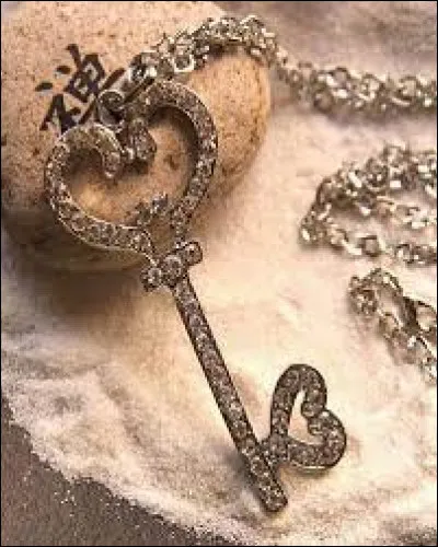 Ça passe ! Mise à part une clé, qu'est-ce qu'un passe-partout ?