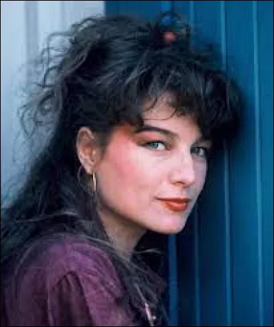 Durant quelle décennie Elli Medeiros a-t-elle chanté "Toi mon toit" ?