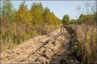 Quel sport a une compétition qui se nomme la "Toi Toi Cup" ?
