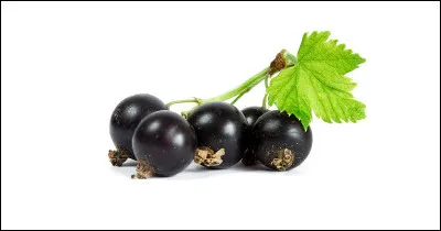 Comment dit-on "cassis" en anglais ?