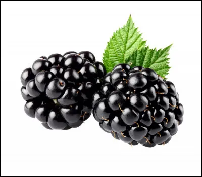 Comment dit-on "une mûre" en anglais ?