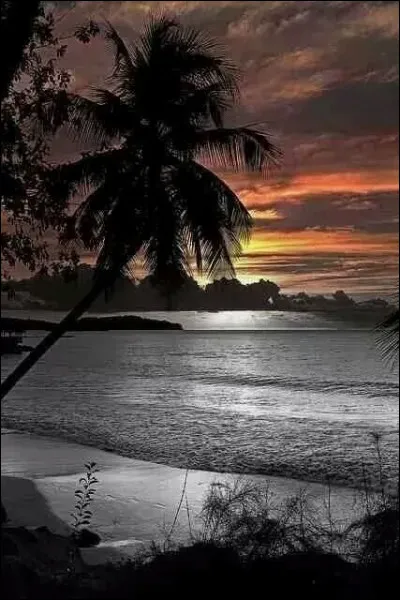 Qui a &eacute;crit "Cette nuit, la mer est noire" ?