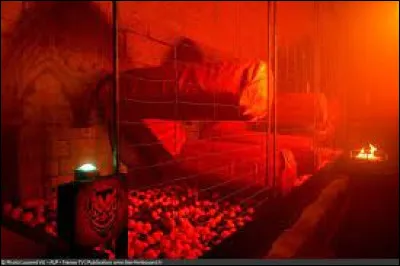 Comment se nomme cette nouvelle épreuve ?