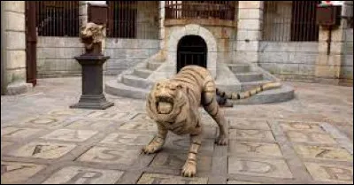 Par quoi les tigres sont-ils remplacés ?