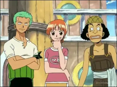 Qui est le premier membre de l'équipage de Luffy à apparaître dans l'animé ?