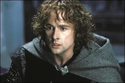 Quel titre Denethor donne-t-il à Pippin ?