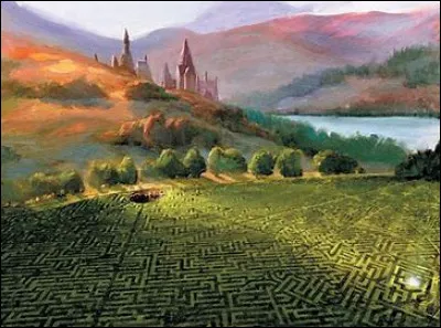 Lors de la dernière épreuve, quel objet voudrais-tu garder sur toi ?