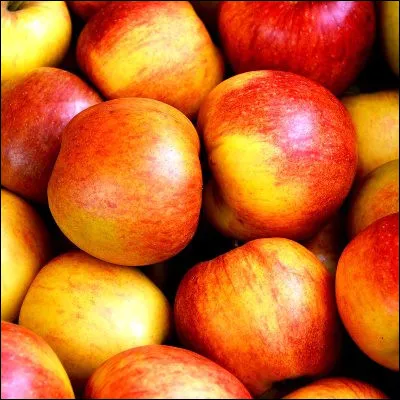 Comment appelle-t-on une boisson alcoolis&eacute;e obtenue &agrave; partir de jus de pomme ferment&eacute; ?