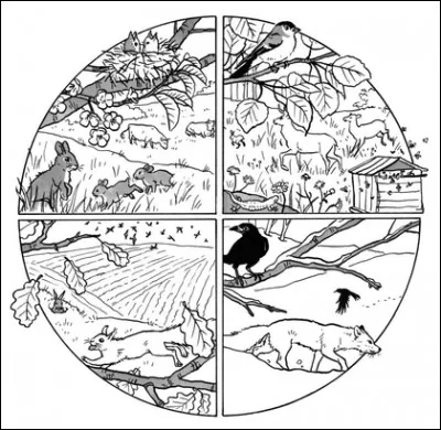 Quel animal pr&eacute;f&egrave;res-tu ?