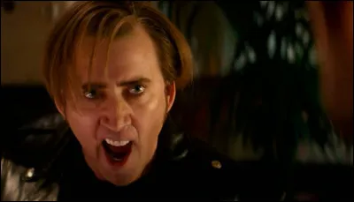 Dans quel film Nicolas Cage élabore-t-il à contre cur un scénario pour lui avec l'aide de son plus grand fan ?