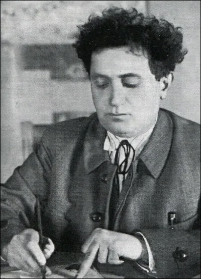 Dans quel domaine Ovseï Radomyslski-Apfelbaum s'est-il illustré ?