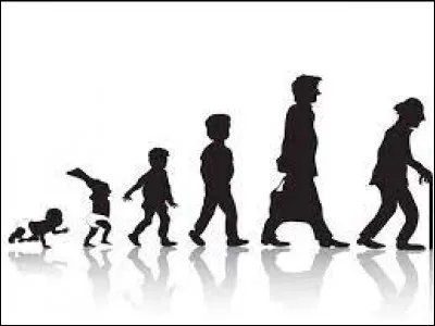 Quel âge aimerais-tu le plus avoir ?