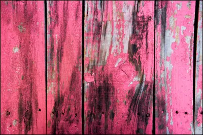 Comment dit-on "rose" en anglais ?