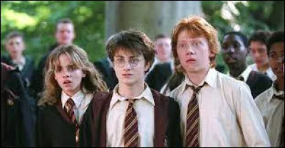 Alfonso Cuarón a-t-il réalisé le film "Harry Potter et le prisonnier d'Azkaban" ?