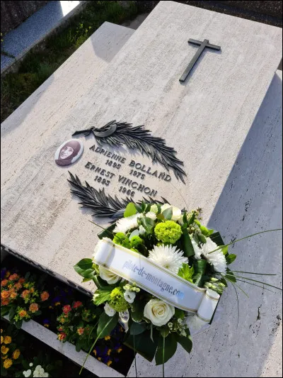 Quel avion a utilisé Adrienne Bolland pour effectuer la traversée des Andes ?