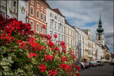 Quelle est cette ville autrichienne connue pour ses foires concernant l'agriculture, la flore, l'énergie et les chevaux ?