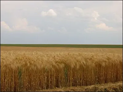 Après avoir visité les Gorges de la Rouvre en Normandie nous traversons maintenant de grandes étendues de champs appelées la Beauce. La Beauce traverse de nombreux départements, actuellement nous sommes dans le département de l'Eure-et-Loir dans la région...
