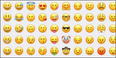 Sur Quizz.biz, après quel smiley le smiley ''snail'' apparaît-il ?