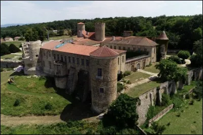 En 2005, ce château près de Thiers est le lieu de tournage d'un film césarisé. Depuis, le nombre de visites a triplé ce qui a permis d'entreprendre des travaux. Quel est ce film ?