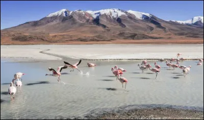 Dans quel pays le lac Poopo se trouve-t-il ?