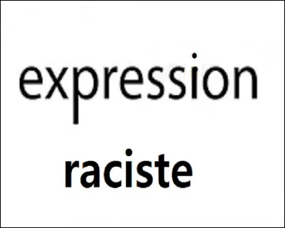 ''Les Melons'' (expression péjorative et à caractère raciste) désignait quel groupe ethnique ?