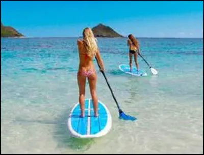 Quelle activité est pratiquée sur cette image ?