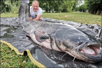 Quel est ce poisson ?