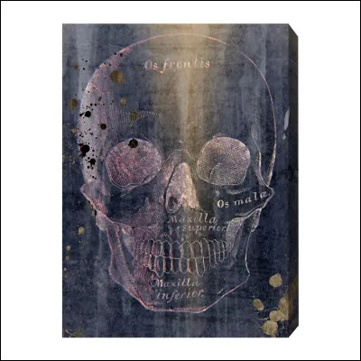 À la fin de la saison 4, quels personnages meurent ?