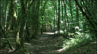 Quel lieu pr&eacute;f&egrave;res-tu parmi ceux propos&eacute;s ?