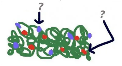 Gros avantage à ce système, vous allez faire, et ce très rapidement, des progrès remarquables dans un domaine au moins : lequel ?