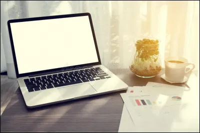 Tu es dans son bureau, il n'est visiblement pas là ! 
Que fais-tu ?