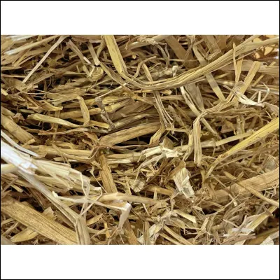 Au centre équestre, tu peux jouer dans les espaces de stockage.