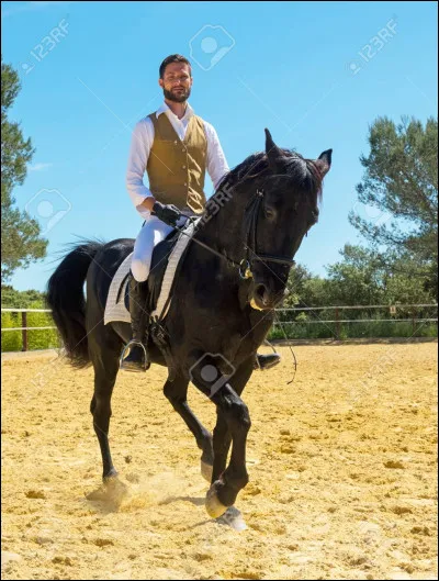 Laquelle de ces propositions est vraie ?