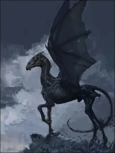 Aimes-tu les sombrals ?