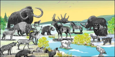 Quelle espèce préfères-tu ?