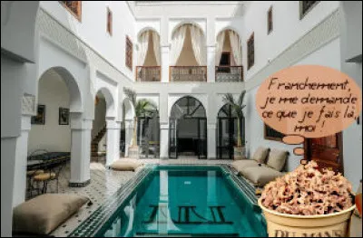 Ici, le sujet à droite n'est là que pour suggérer l'arrière-plan, qui est le parfait homophone de cette capitale ! De quel pays ?