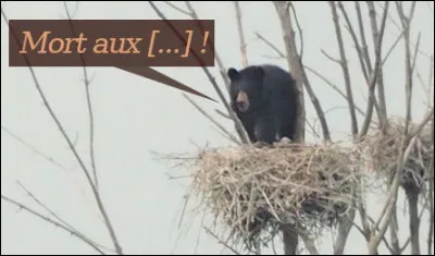 Photo réalisée dans trucage !