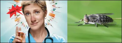 Un peu de franglais, pour changer*...