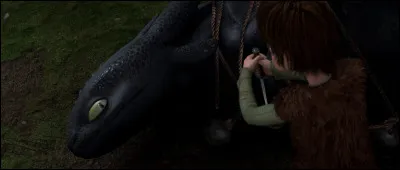 Pourquoi Harold n'a-t-il pas tué Krokmou alors qu'il en avait l'occasion ?