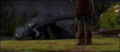 Comment le garçon arrive-t-il à apprivoiser le dragon ?