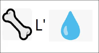 De quel pays, la ville représentée à travers ce rébus est-elle la capitale ?