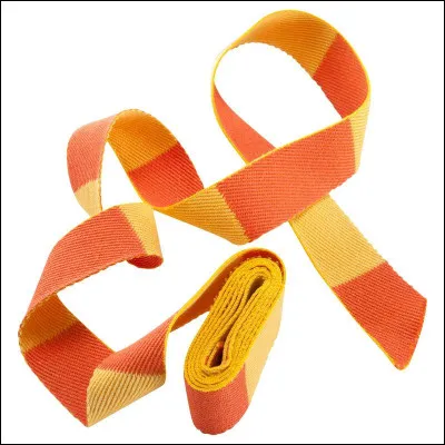 Dans quel sport utilise-t-on ce genre de ceinture ?
