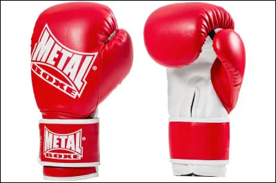 Dans quel sport utilise-t-on ces gants ?