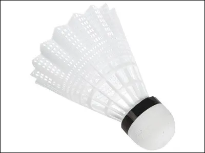 Dans quel sport utilise-t-on ce projectile ?