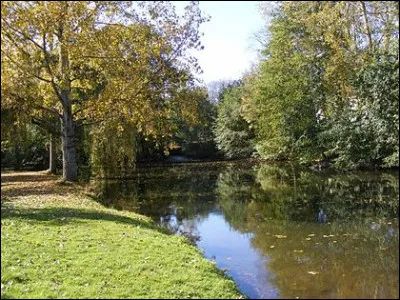 Liquide inodore, c'est l'...